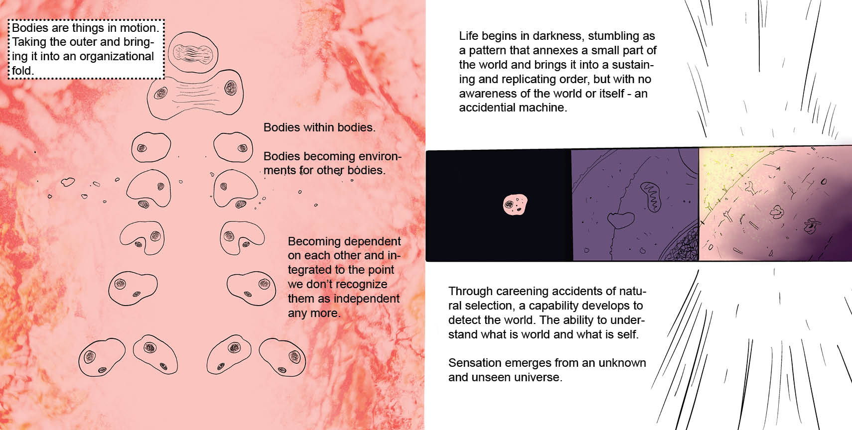 Pages 24-25